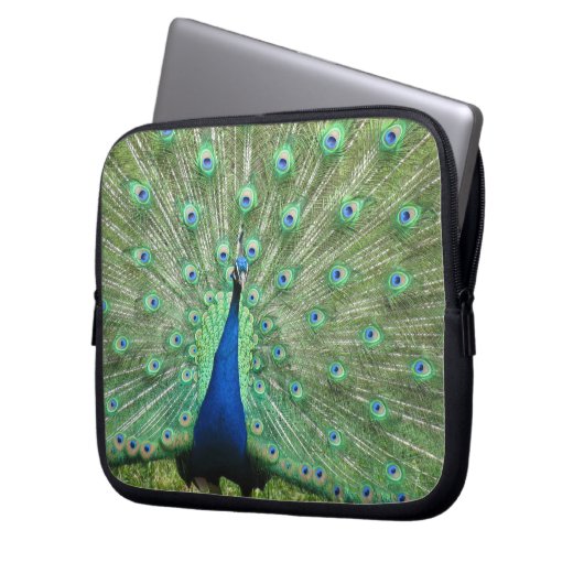 Laptop-Sieb - Peacock Laptopschutzhülle (Vorderseite Links)