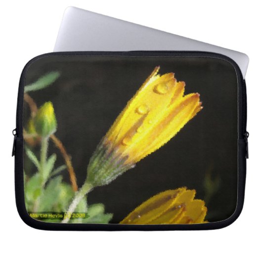 Laptop Sleeve (Vorderseite)