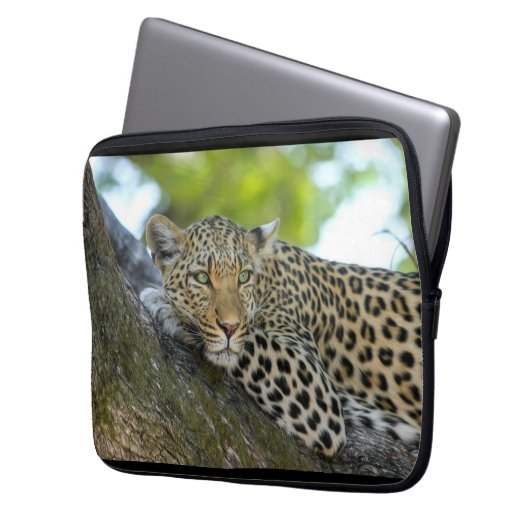 Laptop Sleeve (Vorderseite Links)