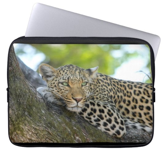 Laptop Sleeve (Vorderseite)