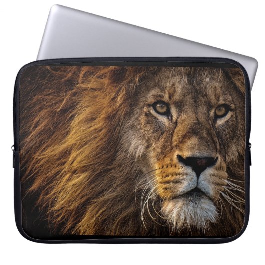 Laptop Sleeve (Vorderseite)