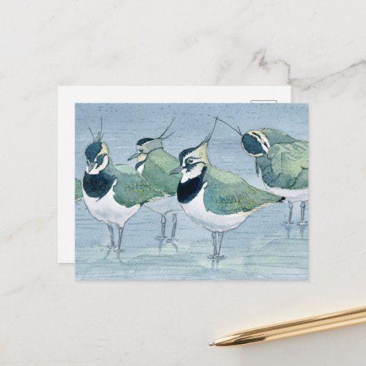 Lapwing Bird Lover Wildlife Watercolor Postkarte (Vorderseite/Rückseite Beispiel)