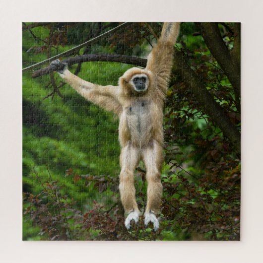 Lar Gibbon, der vom Baum hängt Puzzle (Vertikal)