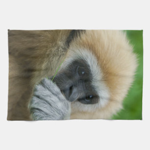 Lar Gibbon Geschirrtuch