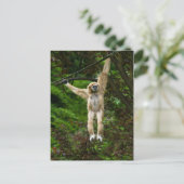 Lar Gibbon hängt vom Baumposter Postkarte (Stehend Vorderseite)