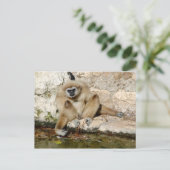 Lar gibbon nahe Teich Postkarte (Stehend Vorderseite)