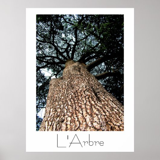 L'Arbre Poster (Vorne)
