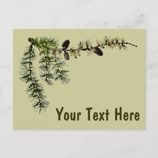 Larch Branch Postkarte (Vorderseite)