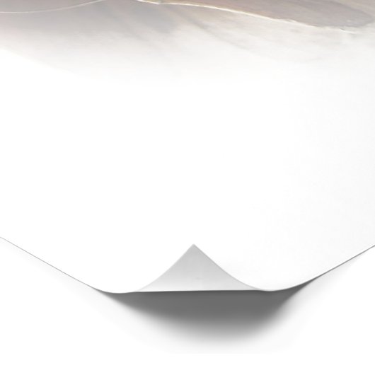 Larch Cone Poster (Ecke)