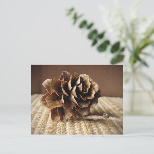 Larch Cone Postkarte (Stehend Vorderseite)