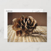 Larch Cone Postkarte (Vorne/Hinten)