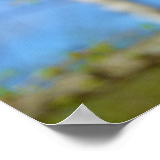 Lärchenblüten Poster (Ecke)