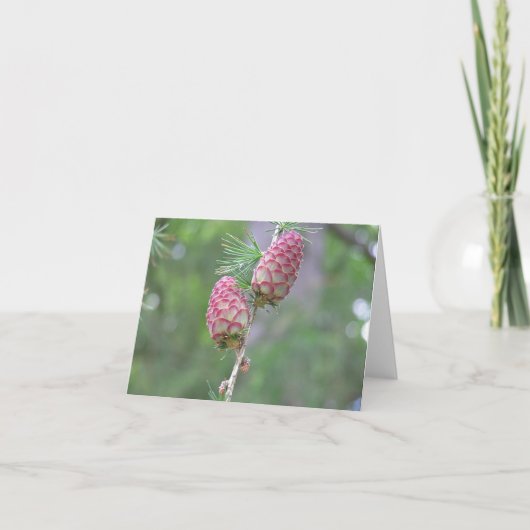 Larchkarte Feiertagskarte (Vorderseite)