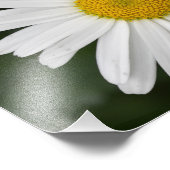 Large Daisy Fotodruck (Ecke)