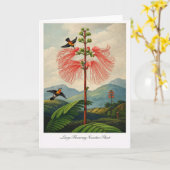 Large Flowering Sensitive Plant — Modern Botanical Karte (Gelbe Blume)