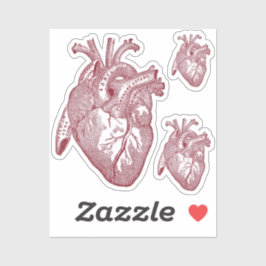 Large Labelled Vintage Anatomical Heart, Red Aufkleber