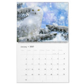 Large Size Beautiful Birds Calendar Kalender (Jan 2027)