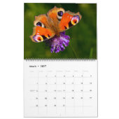 Large Size Beautiful Butterflies Calendar Kalender (Mär 2027)