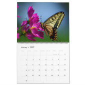 Large Size Beautiful Butterflies Calendar Kalender (Jan 2027)