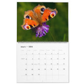 Large Size Beautiful Butterflies Calendar Kalender (Mär 2026)