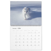 Large Size Cat Lovers Calendar Kalender (Jan 2026)