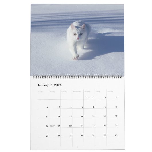 Large Size Cat Lovers Calendar Kalender (Jan 2026)