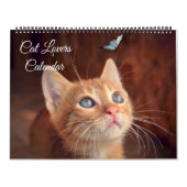 Large Size Cat Lovers Calendar Kalender (Titelbild)