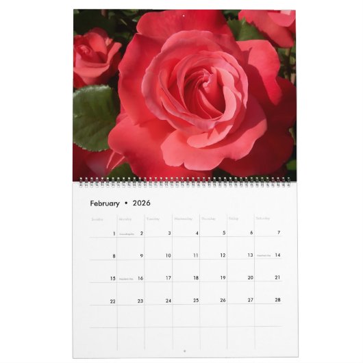 Large Size Forever Roses Calendar Kalender (Feb 2026)