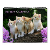 Large Size Kittens Calendar Kalender (Titelbild)