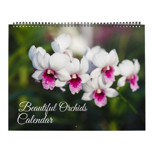 Large Size Orchids Calendar Kalender (Titelbild)