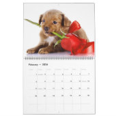 Large Size Puppy Love Calendar Kalender (Feb 2026)