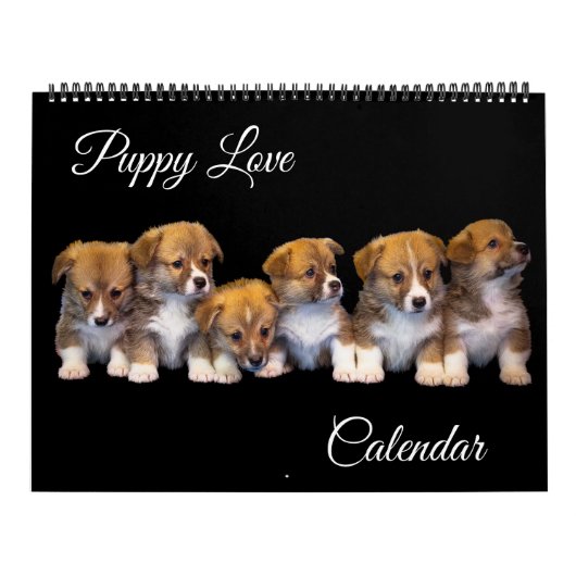 Large Size Puppy Love Calendar Kalender (Titelbild)