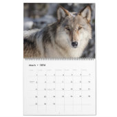 Large Size Yellowstone Calendar-Wildlife Calendar Kalender (Mär 2026)