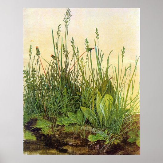 Large Turf - Albrecht Durer - c1503 Poster (Vorne)