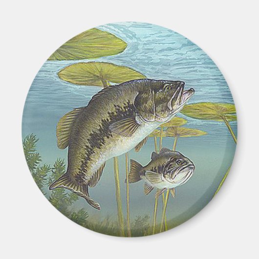 Largemouth Bass Magnet (Vorne)