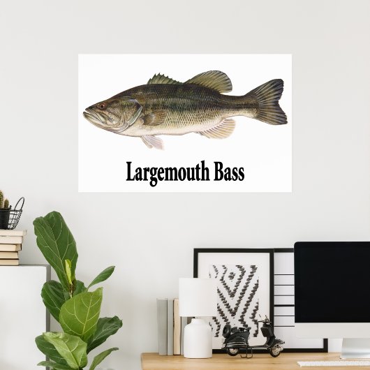 Largemouth Bass Poster (Heimbüro)