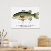 Largemouth Bass Poster (Küche)