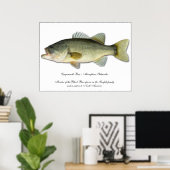 Largemouth Bass Poster (Heimbüro)