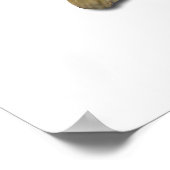 Largemouth Bass Poster (Ecke)