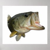 Largemouth Bass Poster (Vorne)