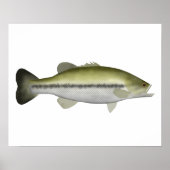 Largemouth Bass Poster (Vorne)