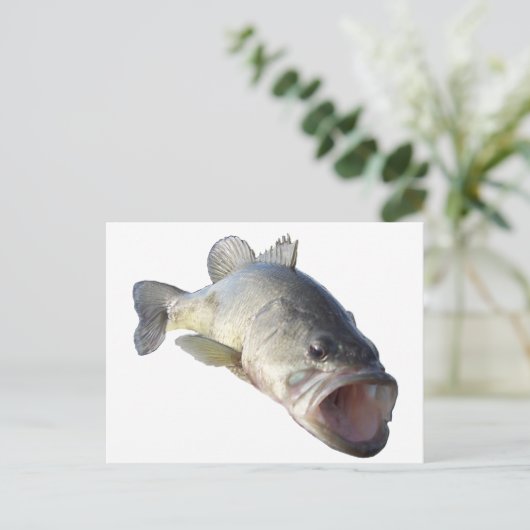 Largemouth-Bass Postkarte (Stehend Vorderseite)
