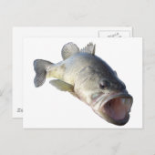 Largemouth-Bass Postkarte (Vorne/Hinten)