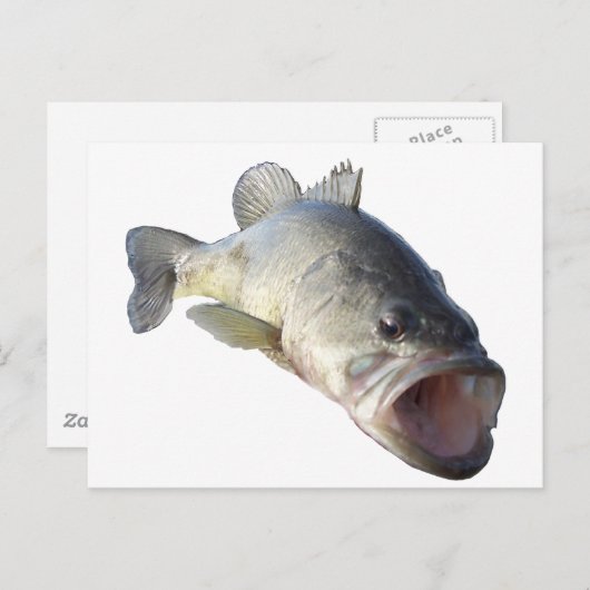 Largemouth-Bass Postkarte (Vorne/Hinten)
