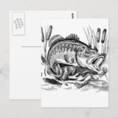 Largemouth Bass Postkarte (Vorne/Hinten)