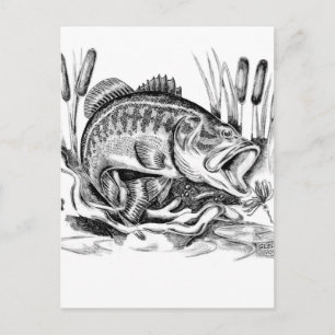 Largemouth Bass Postkarte