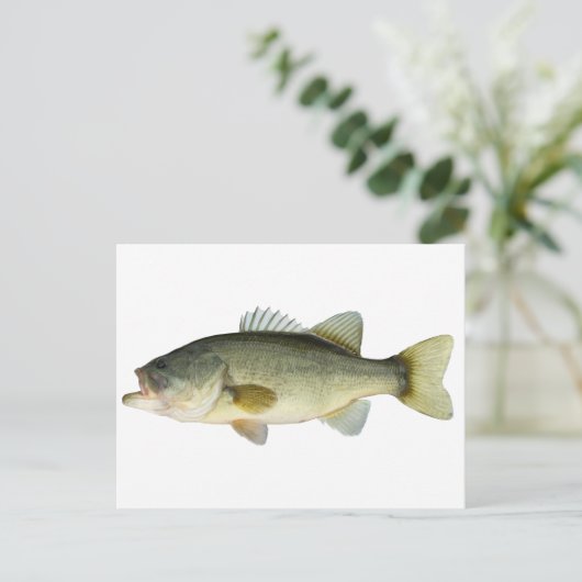 Largemouth Bass Postkarte (Stehend Vorderseite)