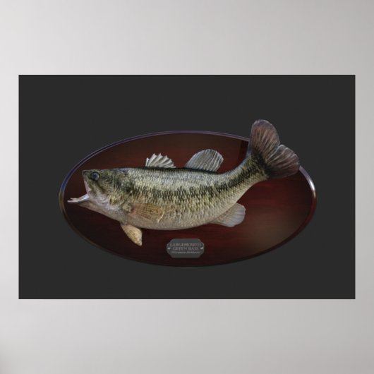 Largemouth Green Bass Trophy Plaque Poster (Vorne)