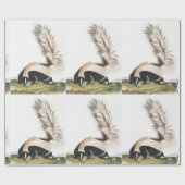 LargeTails Skunk Mephitis macroura Illustration Geschenkpapier (Flach)
