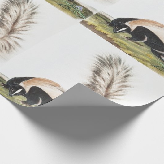LargeTails Skunk Mephitis macroura Illustration Geschenkpapier (Ecke)
